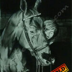 Horse Love