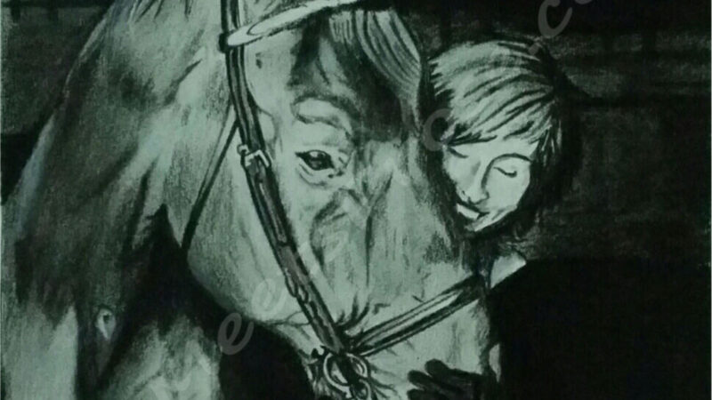 Horse Love